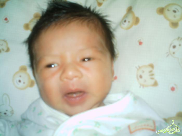 Mohd Hafiz
