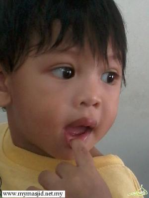 msoleh
